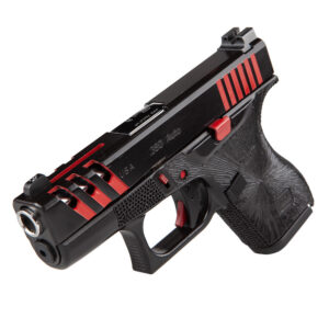 CUSTOM GUN 2020
